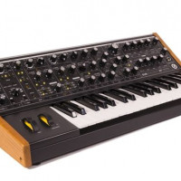 Moog on sale sub 37